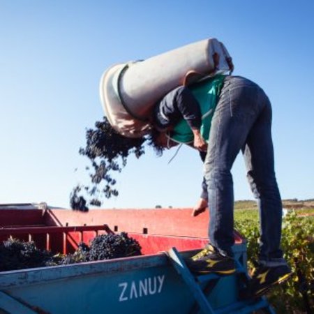 Vignerons Catalans Croix Milhas Spécial Réserve Rivesaltes 20 Ans d'Age