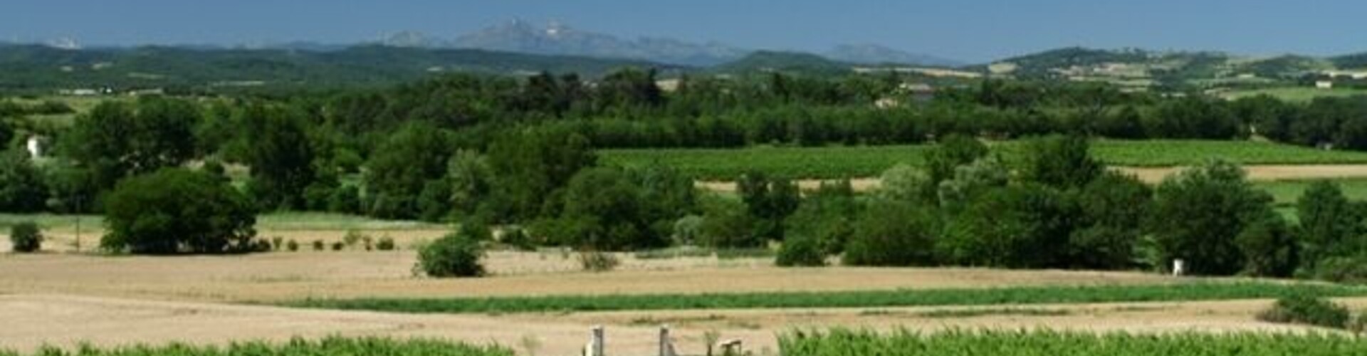 Médaille d'Or voor Chemin de Moscou