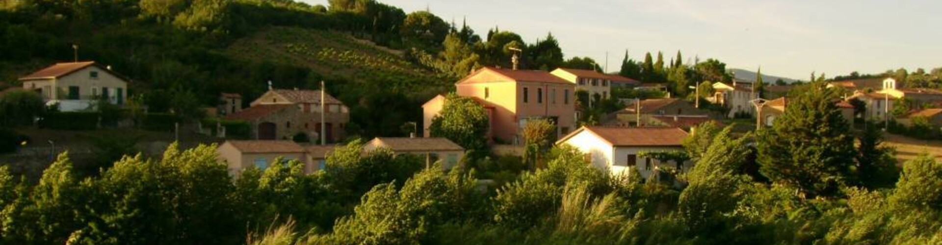 Vinox in de prijzen!