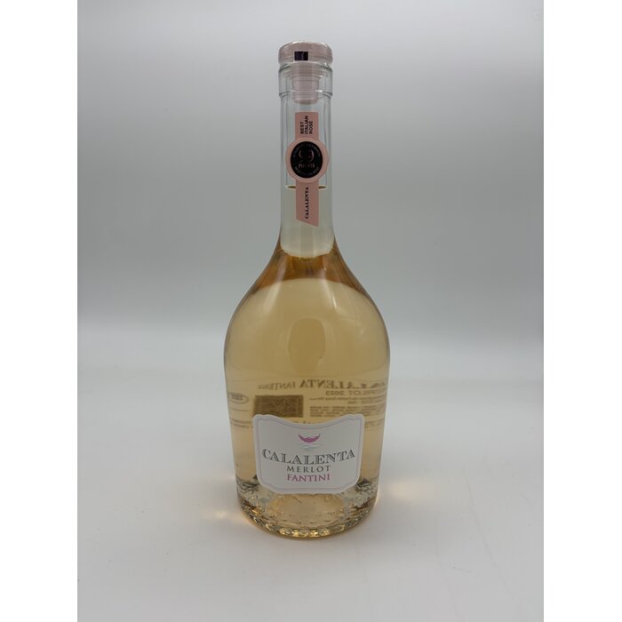 Domaine Salmon Pouilly Fumé - Copy