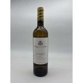 Vintae Domaine Salmon Pouilly Fumé - Copy - Copy - Copy