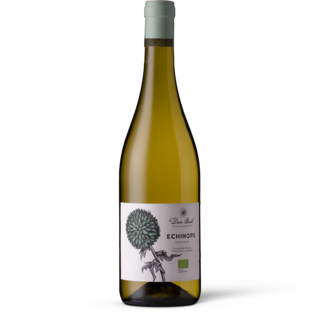 Dom Brial, Echinops Blanc 2025