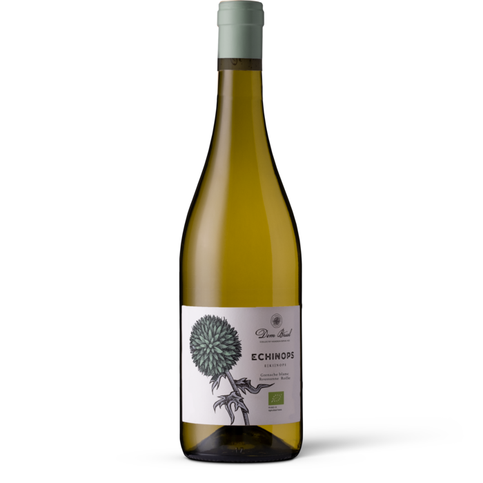 Dom Brial, Echinops Blanc 2025