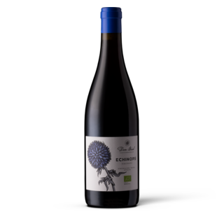 Dom Brial, Echinops 2023 BIO
