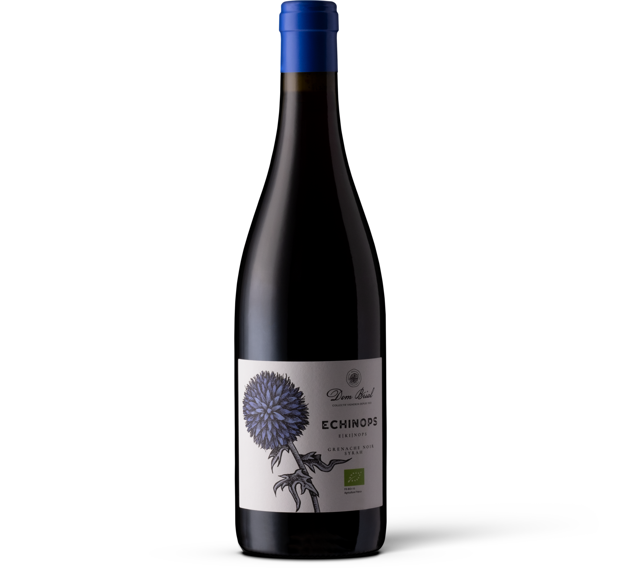 Dom Brial, Echinops 2023 BIO