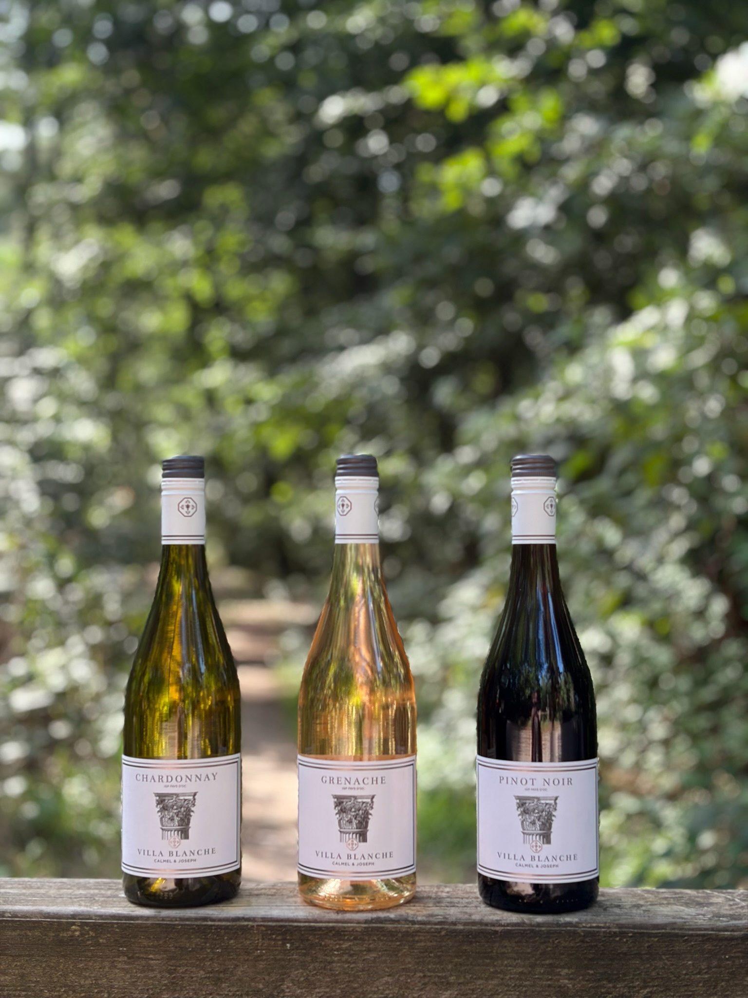 Calmel & Joseph Proefpakket Villa Blanche Wit, Rosé & Rood