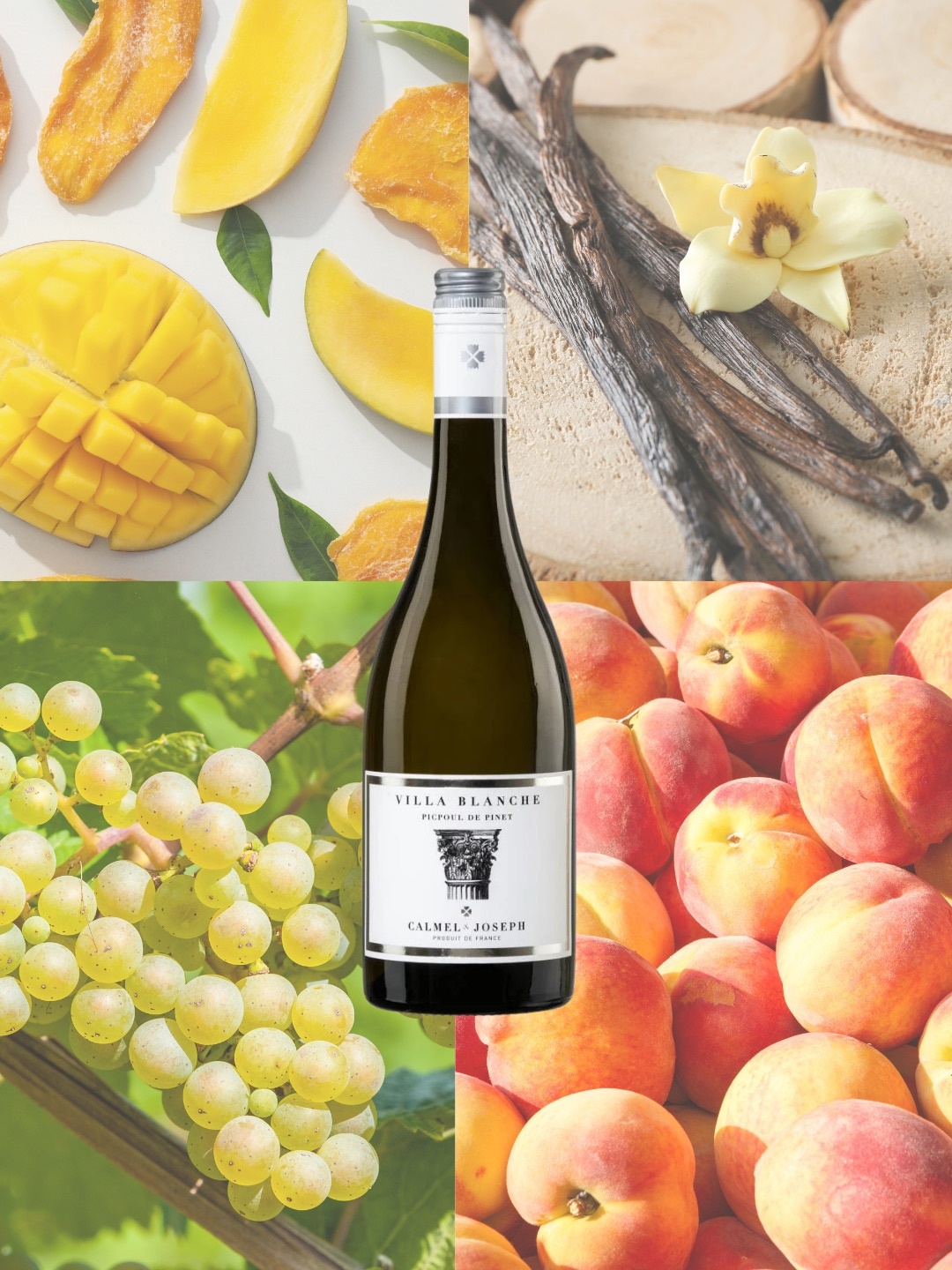 Calmel & Joseph Proefpakket Villa Blanche Wit, Rosé & Rood