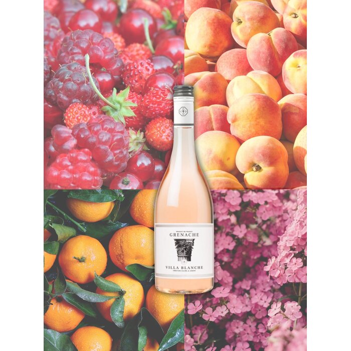 Calmel & Joseph Proefpakket Villa Blanche Wit, Rosé & Rood