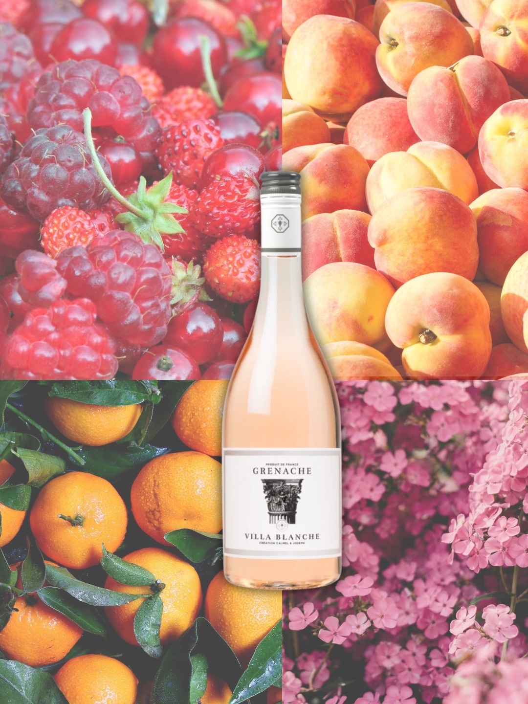 Calmel & Joseph Proefpakket Villa Blanche Wit, Rosé & Rood