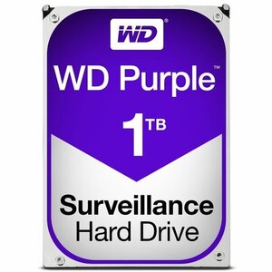 Western Digital Western Digital WD 1TB SATA III 64MB Purple (WD10PURZ)