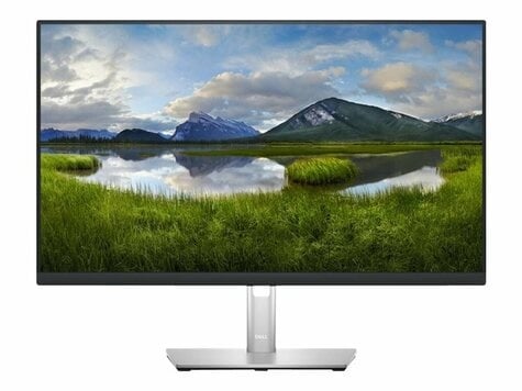 DELL DELL 61.0cm (24")   P2423DE 16:9  HDMI+DP+USB-C USB 5ms Piv