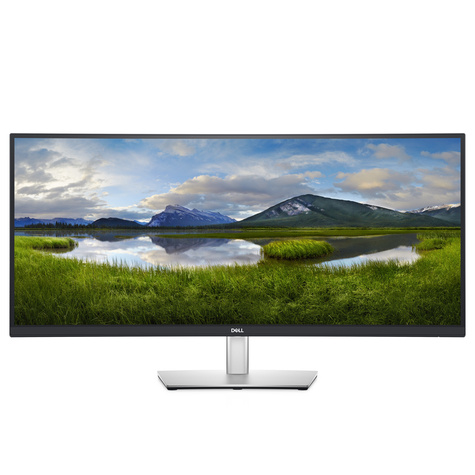 DELL DELL Curved USB-C Monitor-P3421W-86.5cm(34)