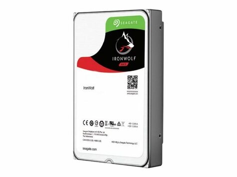 Seagate Seagate 10TB Guardian IronWolf NAS (ST10000VN000)