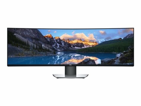 DELL DELL UltraSharp U4919DW - LED monitor curved 49