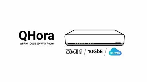 QNAP QHora-301W