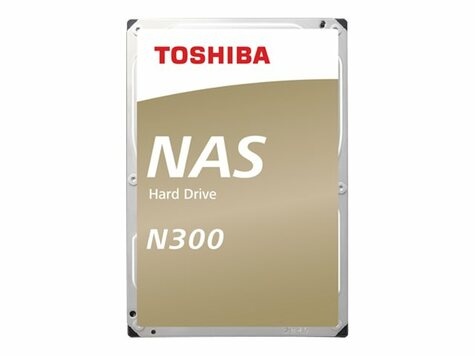 Toshiba 10TB N300 NAS (HDWG11AUZSVA)