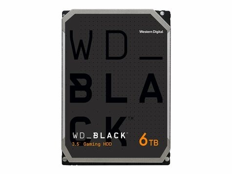 Western Digital WD Black      8.9cm (3.5")  6TB SATA3 7200  128MB WD6004FZWX intern