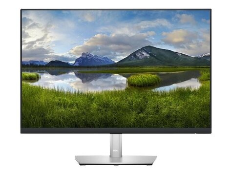 DELL DELL LED-Display P2423 - 61 cm (24") - 1920 x 1200 WUXGA