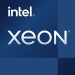Intel Intel S1200 XEON E-2336 TRAY 6x2,9 65W