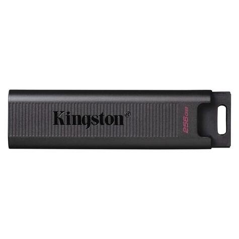 Kingston USB-Stick 256GB Kingston DT-Max   3.2