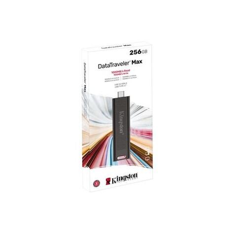 Kingston USB-Stick 256GB Kingston DT-Max   3.2