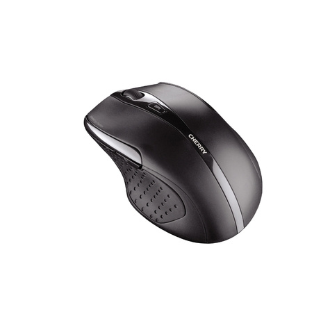 Cherry DT DW 5100 Zwart draadloos Retail QWERTY