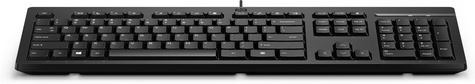 HP 125 Wired Keyboard - QWERTY