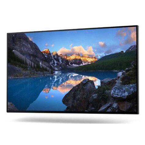 DELL UltraSharp 24 Monitor - U2422H . without stand