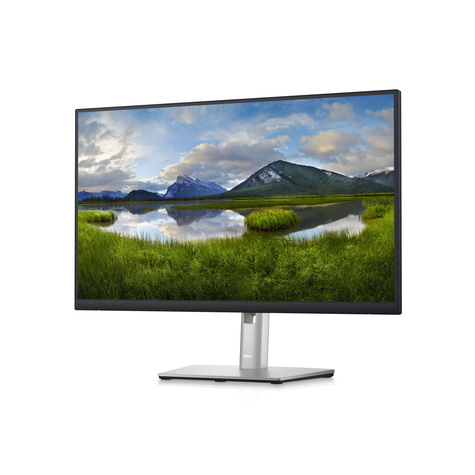 DELL LED-Display P2423D - 60.5 cm (24") - 2560 x 1440 QHD