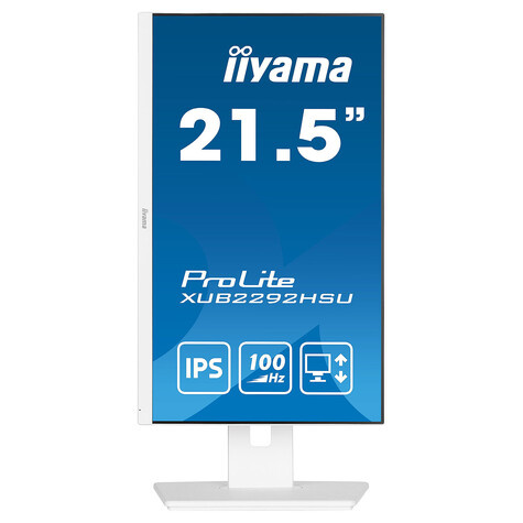 Iiyama 22iW LCD Full HD IPS