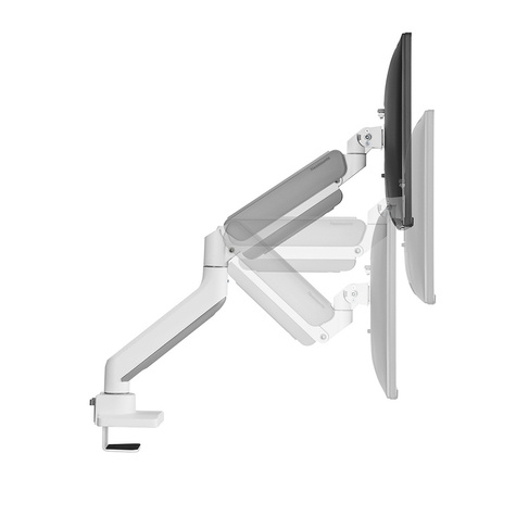 Neomounts Tafelhouder voor gebogen ultrabrede schermen (17"-49") max. 18 kg - volledig beweegbaar - Neomounts wit