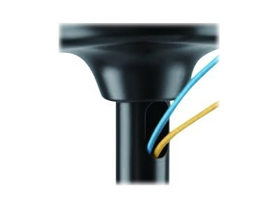 Neomounts plafond 32"-75" 1TFT Zwart Max.50KG