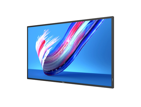 Philips 43" Direct LED 4K Display powered by An