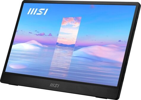 MSI PRO MP161 Gray 15.6i IPS Non-touch