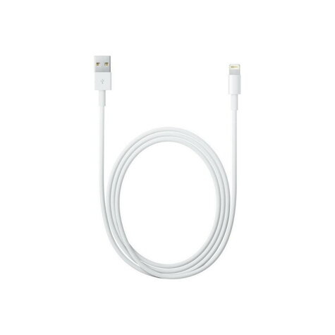 Apple Lightning USB Cable - 1 meter