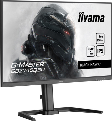 Iiyama 27iW LCD WQHD Business/Gaming IPS 100Hz