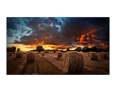 Samsung Samsung VM55B-U VMB-U Series - 55" LED-backlit LCD display - Full HD - for digital signage