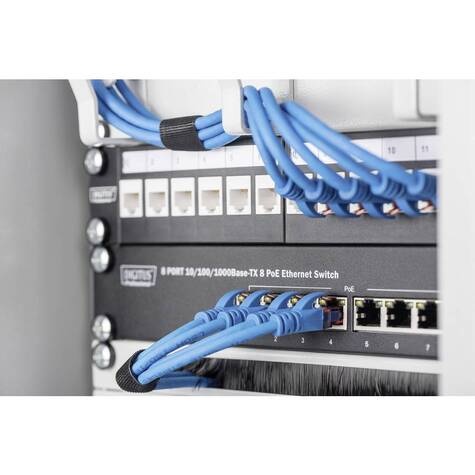 DIGITUS Professional Wandbehuizing 254 mm (10") - 312x300 mm (BxD)