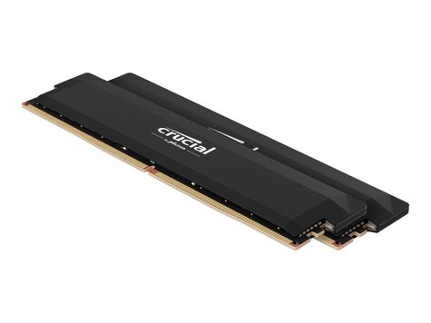 Crucial Crucial DDR5 64GB PC 6400 CL36 KIT (2x32GB)  Crucial Pro black intern retail