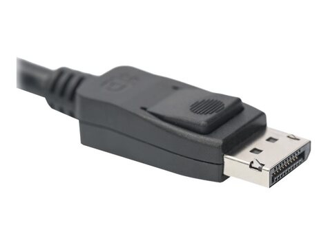 DIGITUS DisplayPort cable - DisplayPort to DisplayPort - 2 m