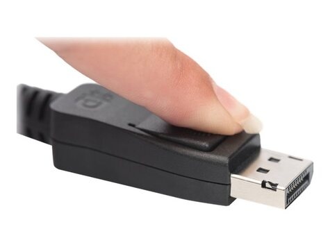 DIGITUS DisplayPort cable - DisplayPort to DisplayPort - 2 m