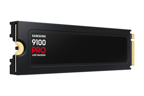 Samsung 4TB M.2 PCIe NVMe2.0 9100 Pro 14700/13300 Heatsi