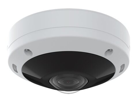 Axis M4308-PLE - Panoramische netwerkcamera - koepel - openlucht - kleur (Dag en nacht) - 12 MP