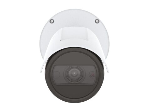 Axis P14 Series P1465-LE-3 - Netwerkbewakingscamera - kogel - openlucht