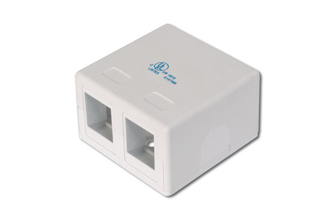 DIGITUS DIGITUS Consolidatiepunt behuizing voor 2x Keystone Modules