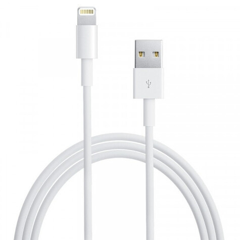 Apple Lightning USB Cable - 1 meter