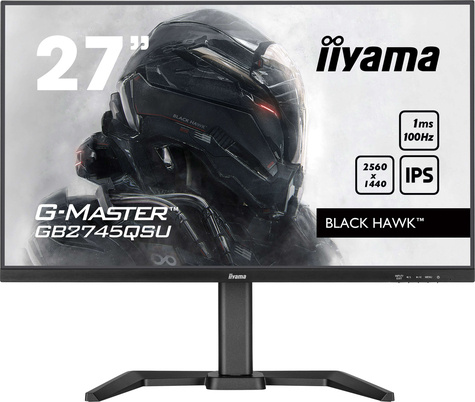 Iiyama 27iW LCD QHD Business/Gaming IPS 100Hz