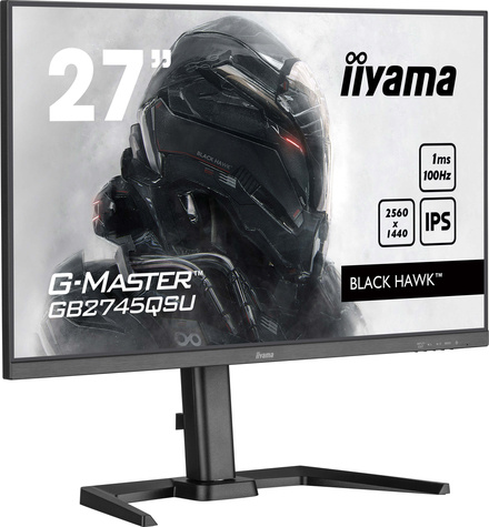 Iiyama 27iW LCD QHD Business/Gaming IPS 100Hz