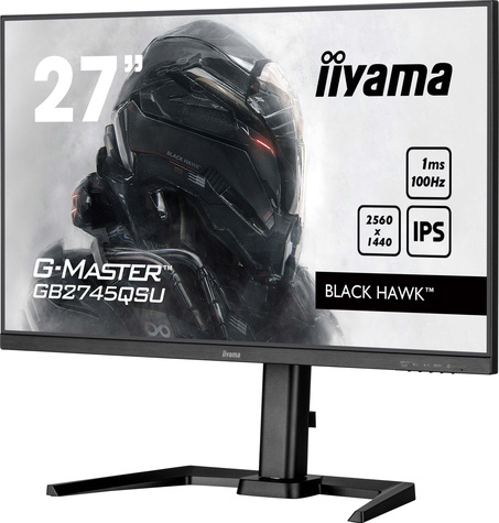 Iiyama 27iW LCD QHD Business/Gaming IPS 100Hz