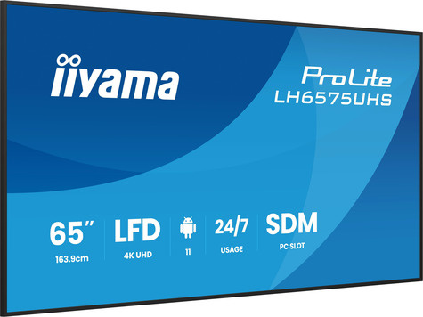 Iiyama 65iWIDE LCD 3840 x 2160 4K UHD IPS panel LED Bl.